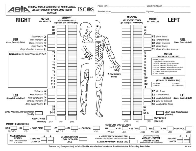 脊髓损伤神经学分类国际标准 (ISNCSCI)