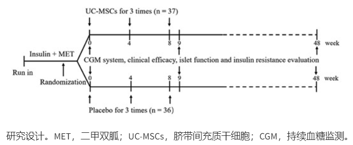 研究设计