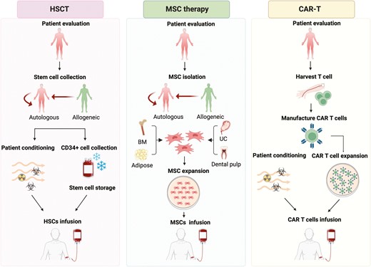 图2：细胞疗法治疗系统性红斑狼疮，包括造血干细胞移植 (HSCT)、间充质干细胞 (MSC) 疗法和嵌合抗原受体 T (CAR-T) 疗法。