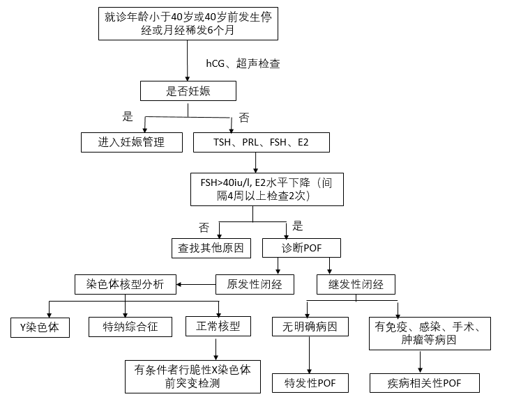 卵巢早衰诊断的流程：