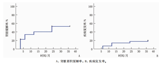 总生存率、肾脏缓解率及复发率