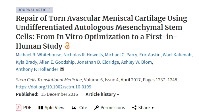 使用未分化自体间充质干细胞修复撕裂的无血管半月板软骨：从体外优化到首次人体研究