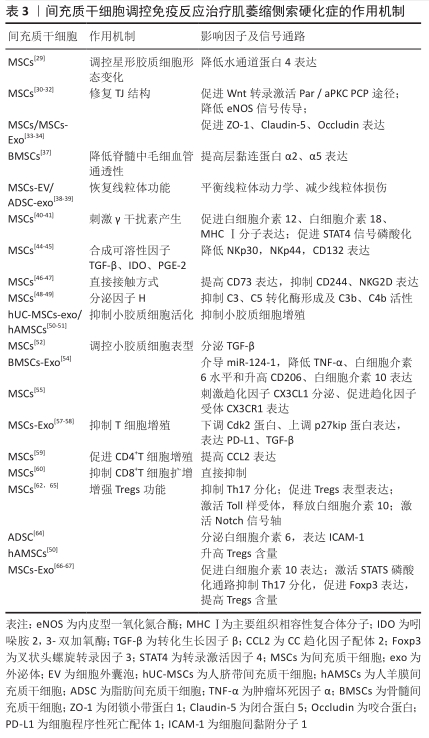 间充质干细胞调控免疫反应治疗肌萎缩侧索硬化症的作用机制