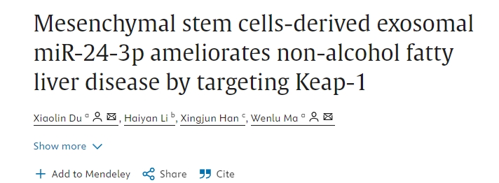 间充质干细胞衍生的外泌体miR-24-3p通过靶向Keap-1改善非酒精性脂肪肝疾病