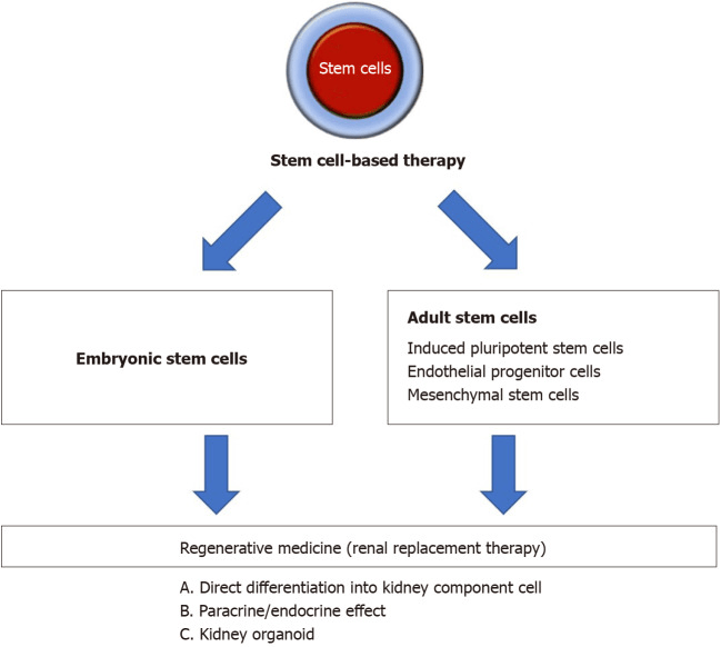 图1：基于干细胞治疗肾脏疾病的策略概述