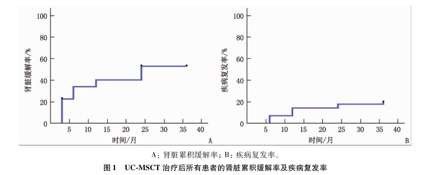 图1 UC-MSCT 治疗后所有患者的肾脏累积缓解率及疾病复发率