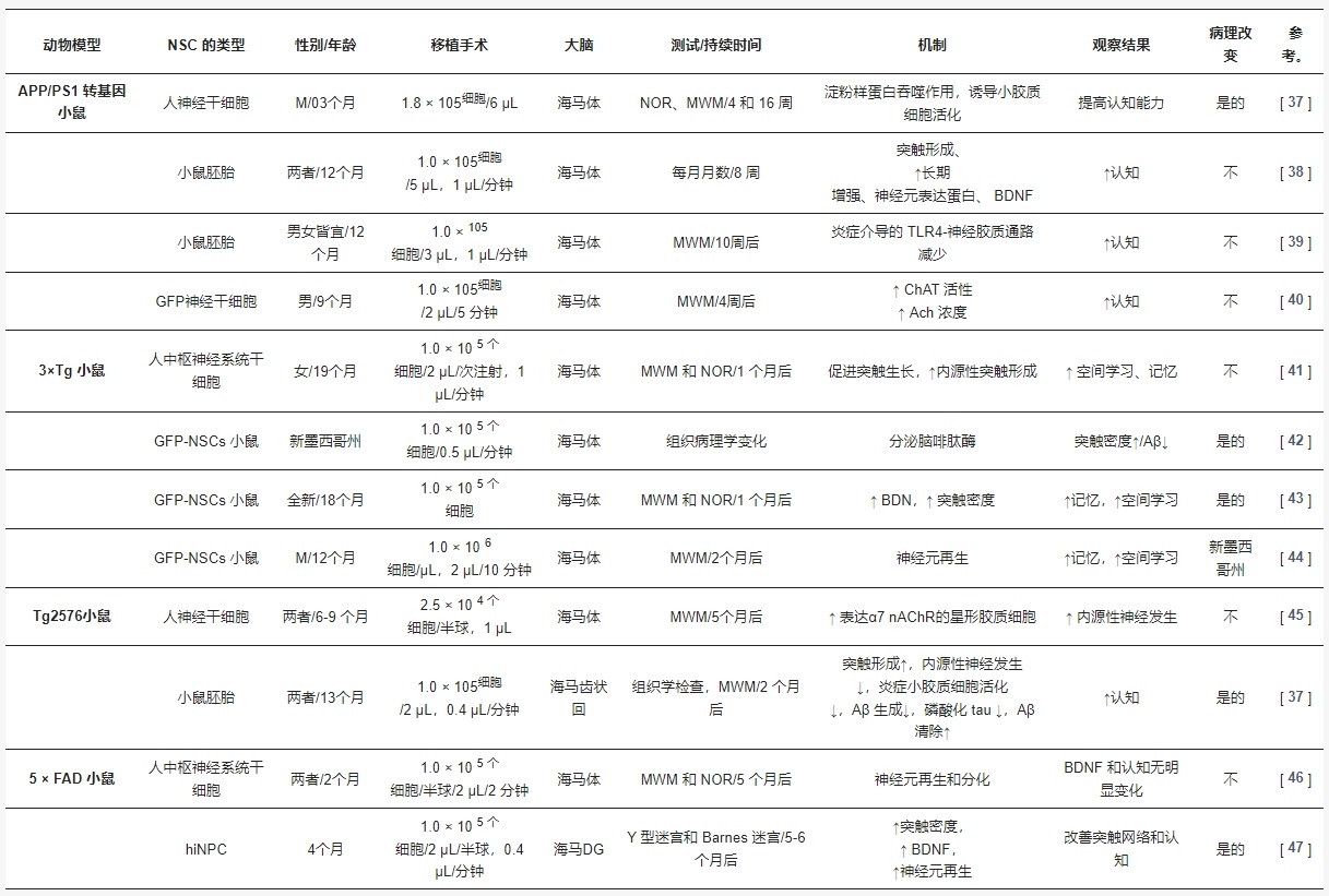 表1：小鼠模型中的神经干细胞移植