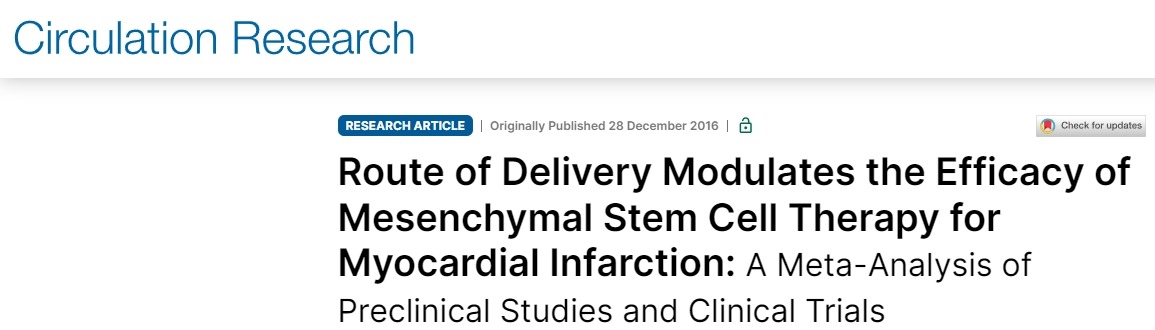 间充质干细胞治疗心肌梗死的疗效受给药途径的影响：临床前研究与临床试验的分析