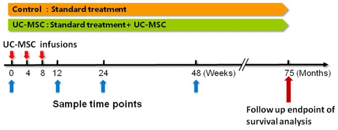 图2：UC-MSC治疗HBV相关失代偿性肝硬化患者的方案