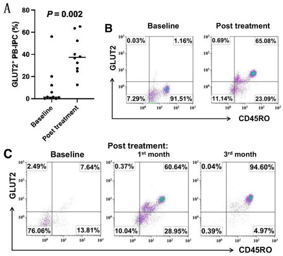 图1：接受干细胞教育疗法治疗后，患者中GLUT2+CD45RO+PB-IPC 的百分比增加