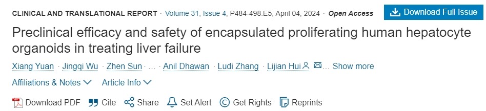封装增殖人肝细胞类器官治疗肝功能衰竭的临床疗效和安全性