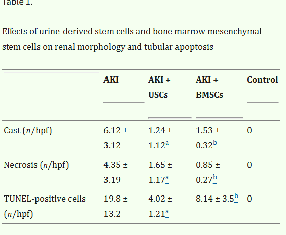 表1：尿源干细胞与骨髓间充质干细胞对肾脏形态及肾小管凋亡的影响