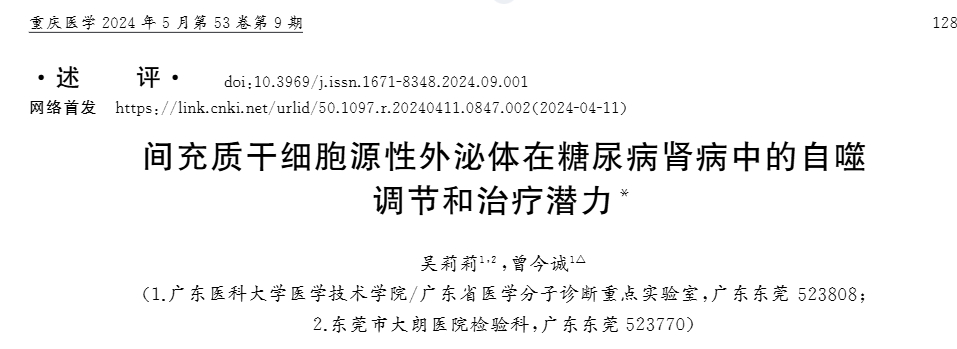 间充质干细胞源性外泌体在糖尿病肾病中的自噬调节和治疗潜力